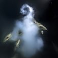 Foto de nuvem de óvulos e espermatozoides enquanto peixes se acasalam no Pacífico, de autoria de Laurent Ballesta, é eleita pelos jurados. Por BBC, extraído do G1 Parece uma explosão […]