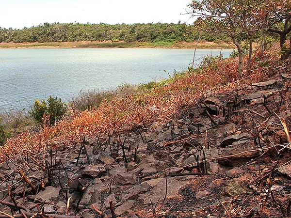Maranhão possui apenas 30% de água potável na natureza, dizem especialistas; situação pode piorar