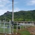 A primeira das duas usinas começou a ser instalada na ilha neste mês de março. Projeto Trilha Verde foi lançado nesta segunda-feira (21), no Recife. Por Ana Clara Marinho, via […]