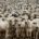 Levantamento revela os dez maiores criadores de gado, que acumulam R$ 640 mi em multas no Ibama. Nove têm fazendas na Amazônia. Cinco envolvidos em trabalho escravo. Veja a lista […]